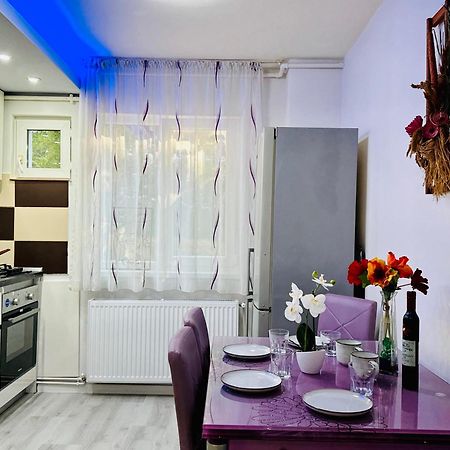 Joy City Stay Spacious Comfortable Timisoara Exterior foto